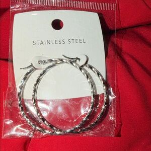 Twisted Stainless Steel Hoop Earrings